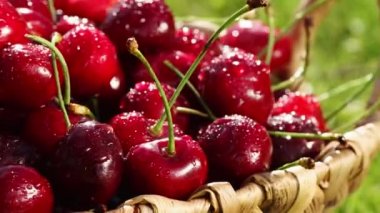 tatlı taze kiraz ile çiğ damlaları, 4k