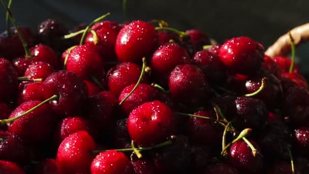 Sladké třešně čerstvé rosou kapky, 4k — Stock video