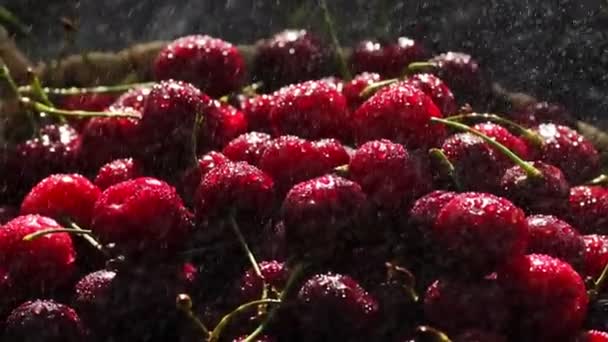 Cerezas rojas giran en cesta — Vídeo de stock