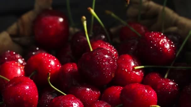 Cerezas rojas giran en cesta — Vídeos de Stock