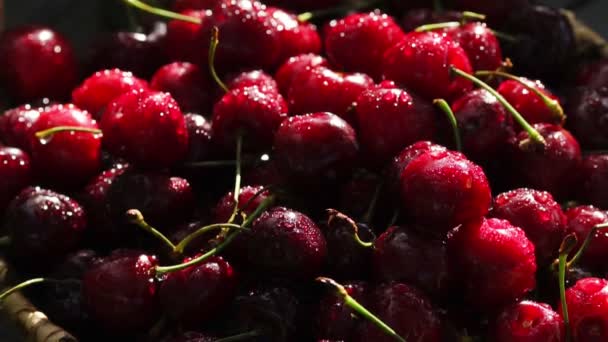 Красные спелые сладкие вишни крупным планом с капельками воды в корзине на траве — стоковое видео
