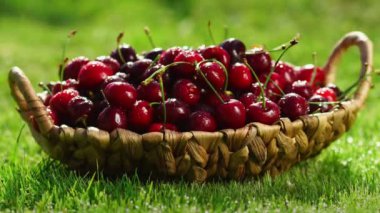 Taze, Olgun, sulu kiraz döndürün. Kırmızı Kiraz saat yönünde
