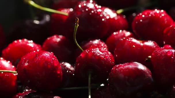 Cerezas frescas dulces con gotas de rocío, 4k — Vídeos de Stock