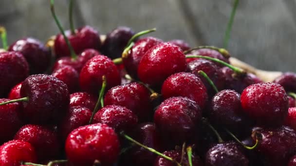 Des cerises. Cerise. Cerises dans un bol de couleur et une serviette de cuisine. Cerise rouge. Cerises fraîches — Video