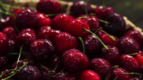 Cerise fraîche avec des gouttes d'eau sur fond sombre. Cerises fraîches fond. Concept d'alimentation saine . — Video