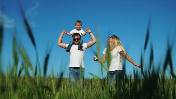 La famiglia felice corre e sorride sul campo con il figlio che ride e si tiene per mano. Figlio seduto sulla frusta — Video Stock