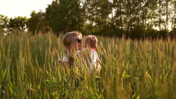 Mom hugs her son sitting in a field of wheat ears. mothers tender feelings and love — Stock Video