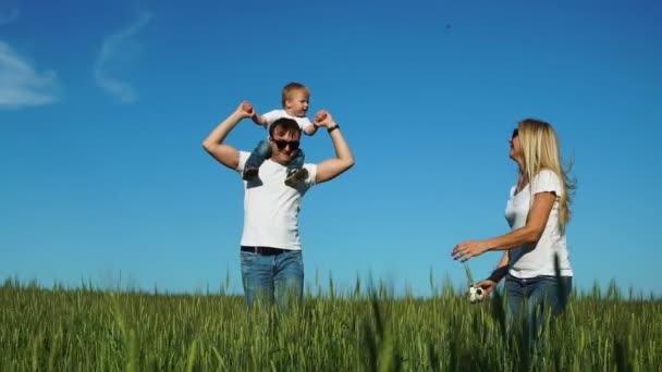 Die glückliche Familie rennt und lächelt auf dem Feld, während ihr Sohn lacht und Händchen hält. Sohn sitzt auf der Peitsche — Stockvideo