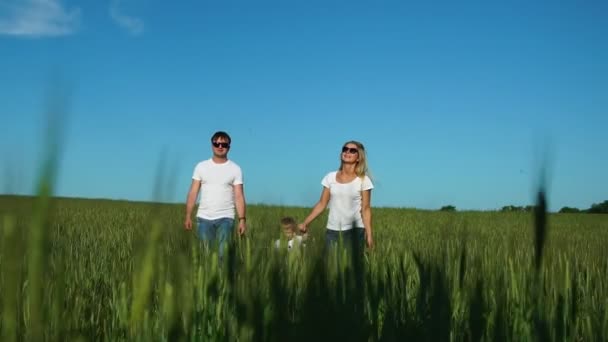 Caminando familia en el campo con un niño en camisetas blancas — Vídeos de Stock