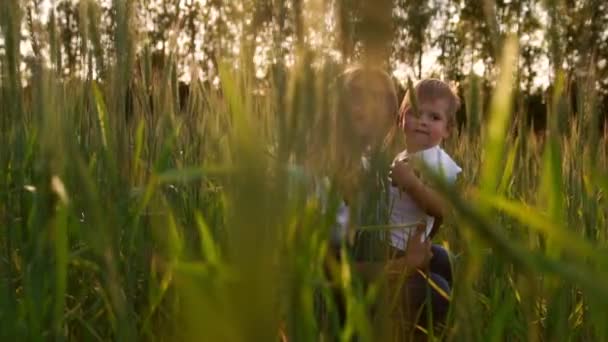 Liefdevolle moeder en zoon in het veld om te communiceren en te omhelzen, verlichten de zonnestralen het haar. Gelukkige familie — Stockvideo