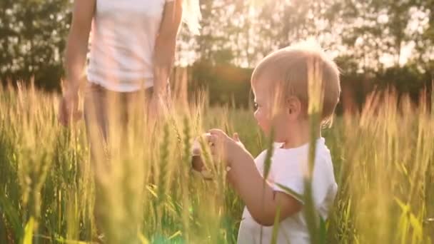 El concepto de una familia feliz. Primer plano de un niño y su madre en un campo con espigas de trigo sonriendo y jugando con una pelota de fútbol — Vídeos de Stock