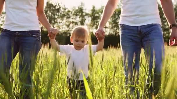 幸せな家族の概念。少年の小麦のクローズ アップの小穂を持つフィールドで歩いている 3 人の家族のクローズ アップ — ストック動画