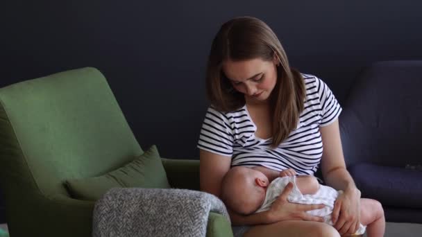 Novorozené dítě je kojené matkou — Stock video