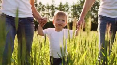 Mutlu bir aile kavramı. Bir alanı bir çocuk close-up buğday spikelets ile yürüyüş üç kişilik bir aile Close-up