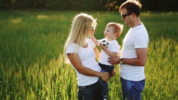 Семья, гуляющая в поле, вынашивает маленького сына — стоковое видео