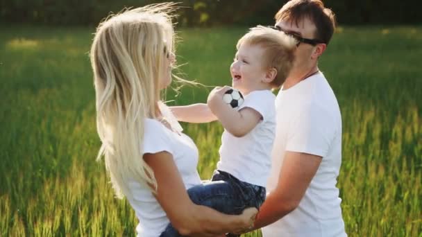 Familia caminando en el campo llevando a su hijo pequeño — Vídeos de Stock