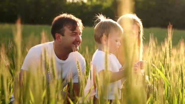 Kleiner lächelnder Junge, der im Weizen auf dem Feld sitzt. Sommer Natur, Spaziergänge im Freien. Kinderglück — Stockvideo
