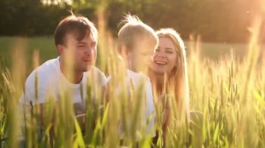 Bir buğday alanında oturan küçük boy gülümseyerek. Yaz doğa, açık havada yürüyüş. Mutluluk çocukluk