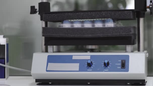 Máquina para sacudir tubos de ensayo por vibración para separar las células y continuar los estudios — Vídeos de Stock