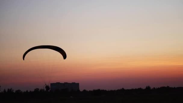Ο πιλότος στο αλεξίπτωτο πλαγιάς έρχεται να προσγειωθεί στο πεδίο στο ηλιοβασίλεμα — Αρχείο Βίντεο