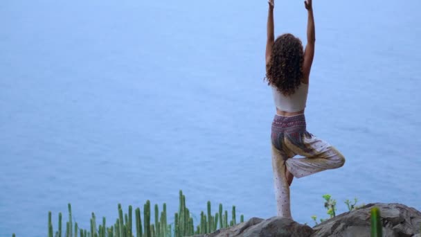 Fiatal nő, jóga, a sziklás tengerparton naplementekor. A koncepció az egészséges életmód. Harmónia. Ember és természet. A háttérben a kék óceán. — Stock videók