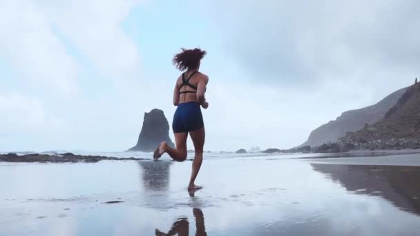 Joggen op het strand met een lege camera stabilisator. zonder mensen — Stockvideo