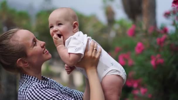 Familie is een wandeling langs de zomer bloei veld. Gelukkig moeder en zoontje in de zon. Zonnebloemen. — Stockvideo