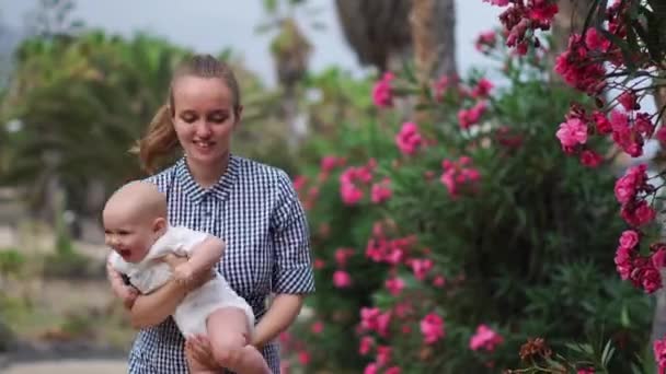 Familjen promenader längs sommaren blommande fält. Lycklig mamma och Lille son i solen. Solrosor. — Stockvideo