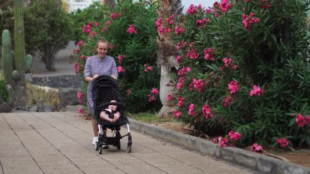 Junge Frau schaut in Kinderwagen im Park — Stockvideo