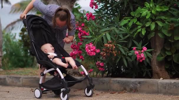 Moeder met kind in kinderwagen lopen en genieten van moederschap bij zonsondergang en bergen landschap. Joggen of power walking vrouw met kinderwagen bij zonsondergang. Prachtige inspirerende Bergen landschap. — Stockvideo