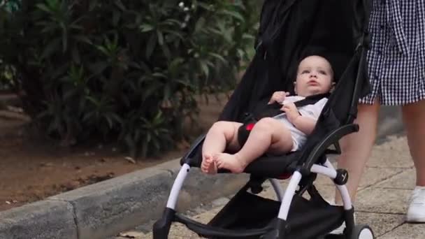 Вид спереду молода мати сидить на пляжі з дитячою коляскою — стокове відео