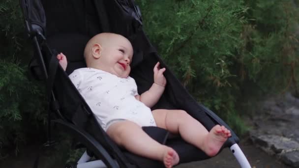 Baby in sitting stroller on nature — Stock Video
