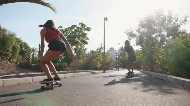 Verano en la isla de chicas jóvenes en paseos de longboard en pantalones cortos en la carretera cerca de la playa y las palmeras — Vídeo de stock