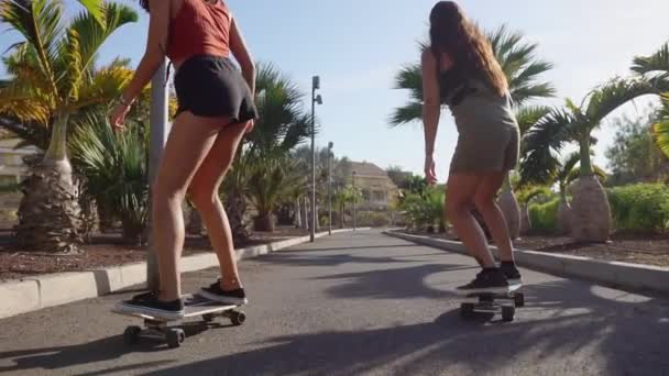 Две девушки на скейтбордах в коротких шортах едут вдоль дороги вдоль пляжа и пальмы в замедленной съемке. Концепция здорового образа жизни — стоковое видео