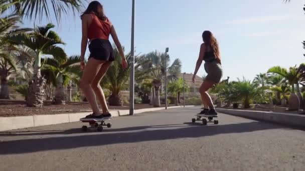 Due ragazze su skateboard in pantaloncini corti cavalcano lungo la strada lungo la spiaggia e palme al rallentatore. Il concetto di uno stile di vita sano — Video Stock