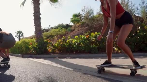 Verano en la isla de chicas jóvenes en paseos de longboard en pantalones cortos en la carretera cerca de la playa y las palmeras — Vídeos de Stock