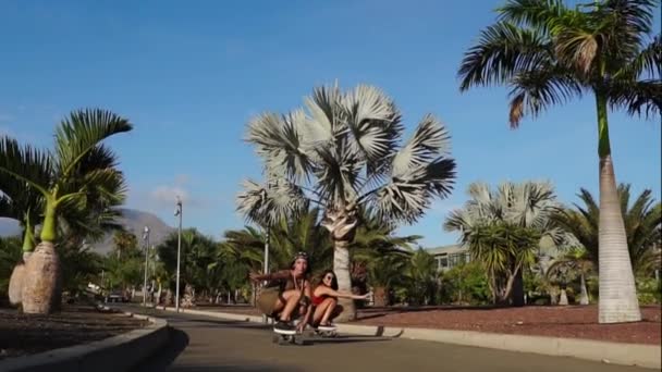 Deux filles roulent sur les planches sur le chemin asphalté le long des palmiers — Video