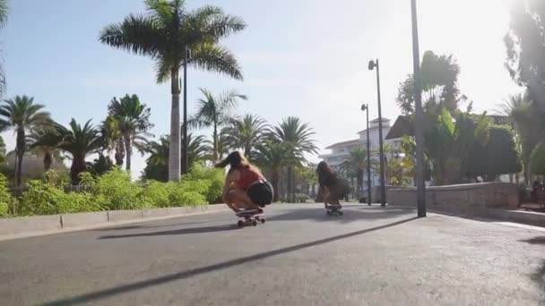Две девушки катаются на досках по асфальтовой дорожке вдоль пальм — стоковое видео