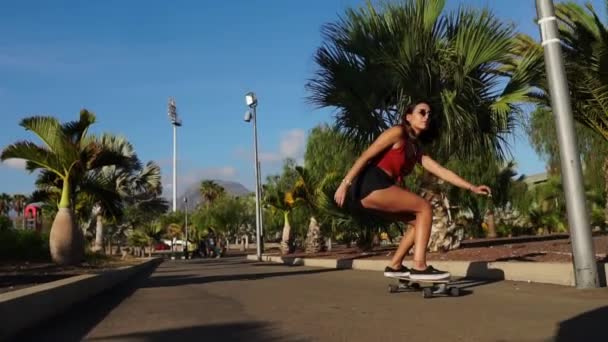 Hermosa chica en pantalones cortos y gafas de sol paseos en un tablero en un parque cerca de la playa a lo largo de las palmeras — Vídeo de stock