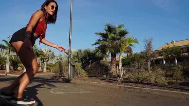 Hermosa chica en pantalones cortos y gafas de sol paseos en un tablero en un parque cerca de la playa a lo largo de las palmeras — Vídeos de Stock