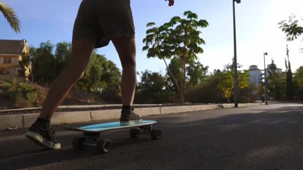 Menina em câmera lenta monta um skate no parque com palmeiras — Vídeo de Stock