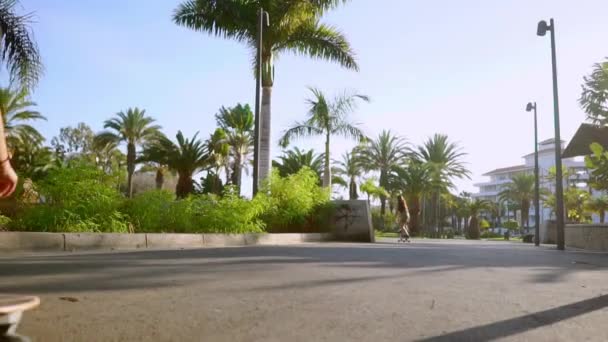 Two female friends on skateboards rides downhill at the resort having fun moving and smiling. Road along palm trees — Stock Video
