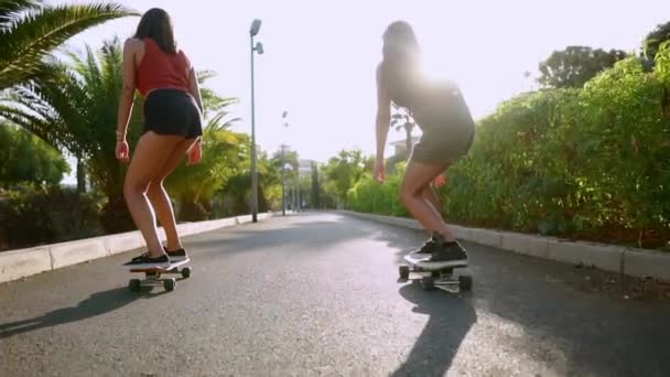 Две подруги на скейтбордах скачут вниз по склону курорта, веселясь, двигаясь и улыбаясь. Дорога вдоль пальм — стоковое видео