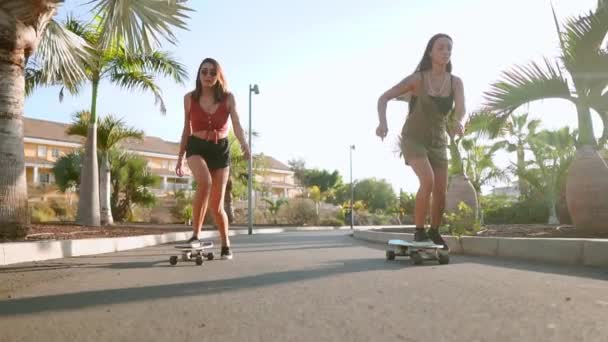 Giovani ragazze spagnole cavalcano skateboard su un'isola vicino a palme su sentieri asfaltati del Parco al rallentatore nei raggi del tramonto. Felicità e stile di vita sano . — Video Stock