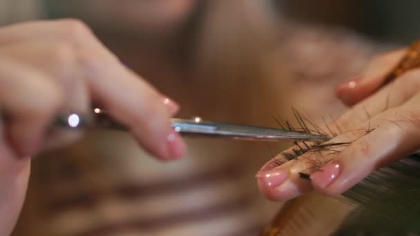 Coiffeur coupe les cheveux avec des ciseaux professionnels et peigne dans le salon de coiffure. Fermer coupe de cheveux faisant coupe de cheveux mâle avec des ciseaux dans l'école de coiffure — Video