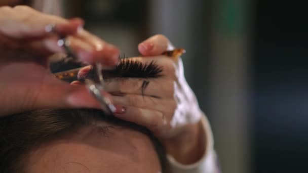 Close-up hairdresser with scissors and comb. Blurred background. — Stock Video