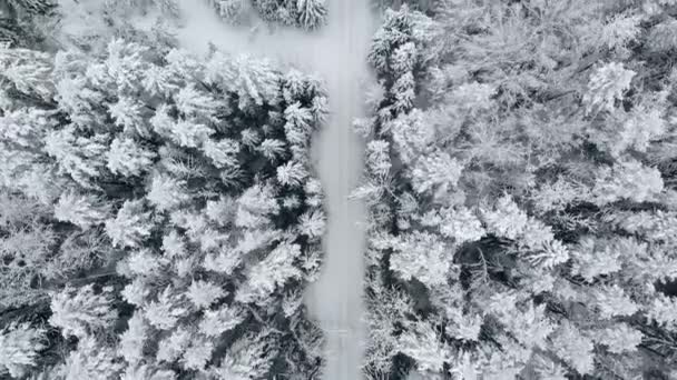 Inverno temporada nevado montanha floresta aérea tiro de tirar o fôlego paisagem natural, floresta congelada e rio de montanha escuro — Vídeo de Stock