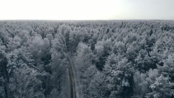 Winter season snowy mountain forest aerial shot Breathtaking natural landscape, frozen forest and dark mountain river — Stock Video