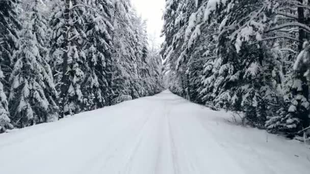 4K. Volo sopra la foresta invernale a nord, vista aerea dall'alto. — Video Stock