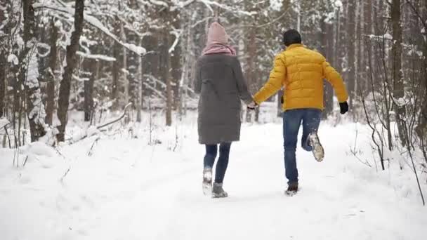 Ένα νεαρό και όμορφο ζευγάρι διασκεδάζει στο πάρκο, τρέχοντας και κρατώντας τα χέρια. Ημέρα του Αγίου Βαλεντίνου και την έννοια της ιστορίας αγάπης. Χειμερινή περίοδος. — Αρχείο Βίντεο